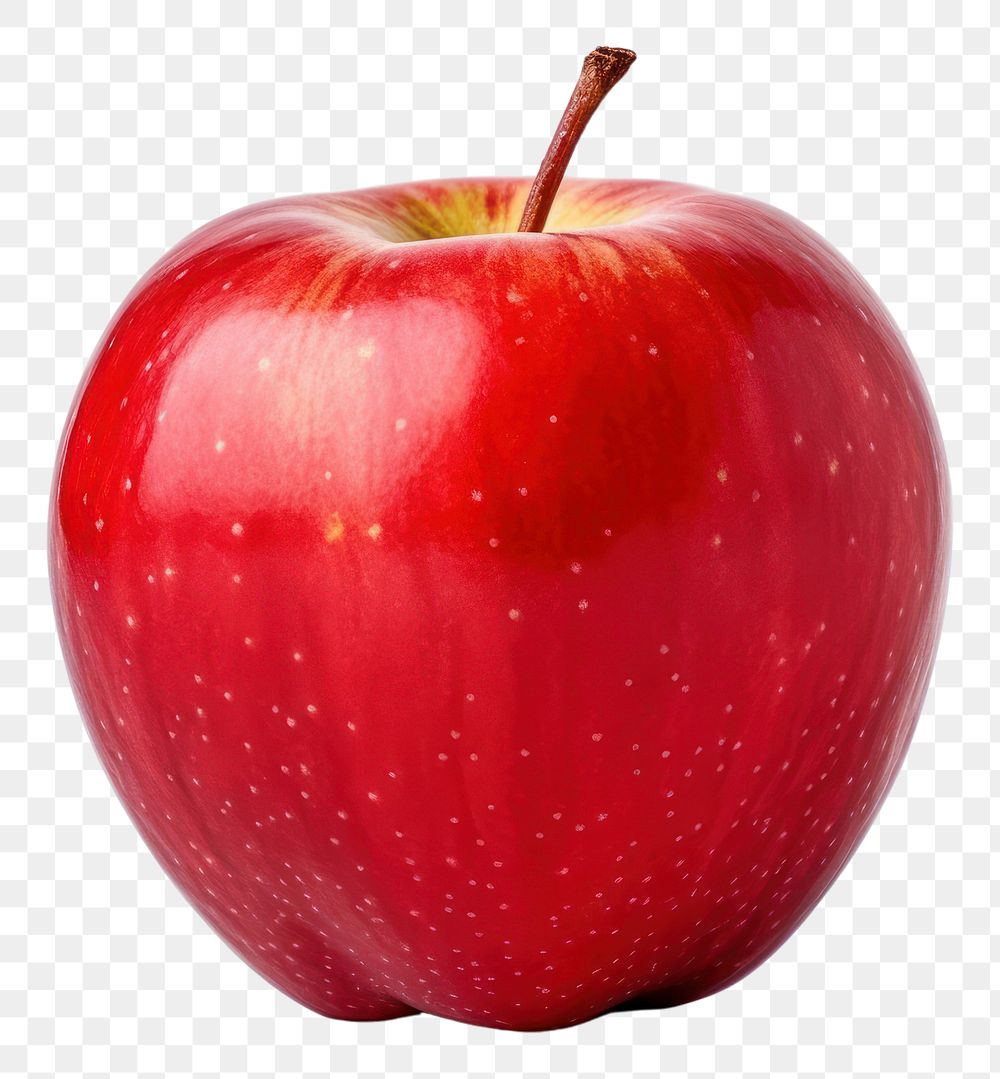 PNG Apple apple fruit plant