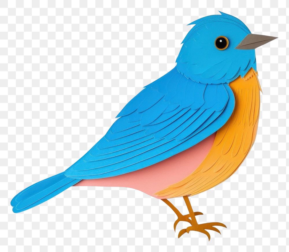PNG Bird pastel minimal animal beak creativity.