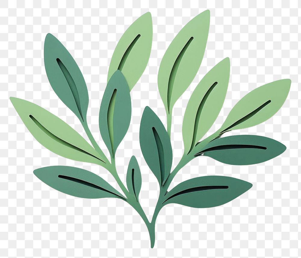 PNG Leaf green minimal plant herbs art.