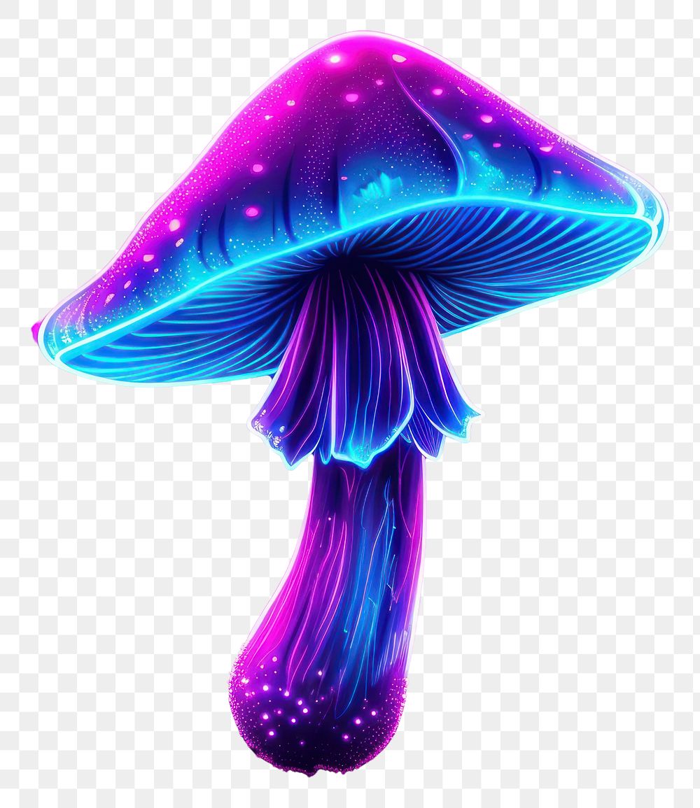 PNG Neon mushroom purple nature night