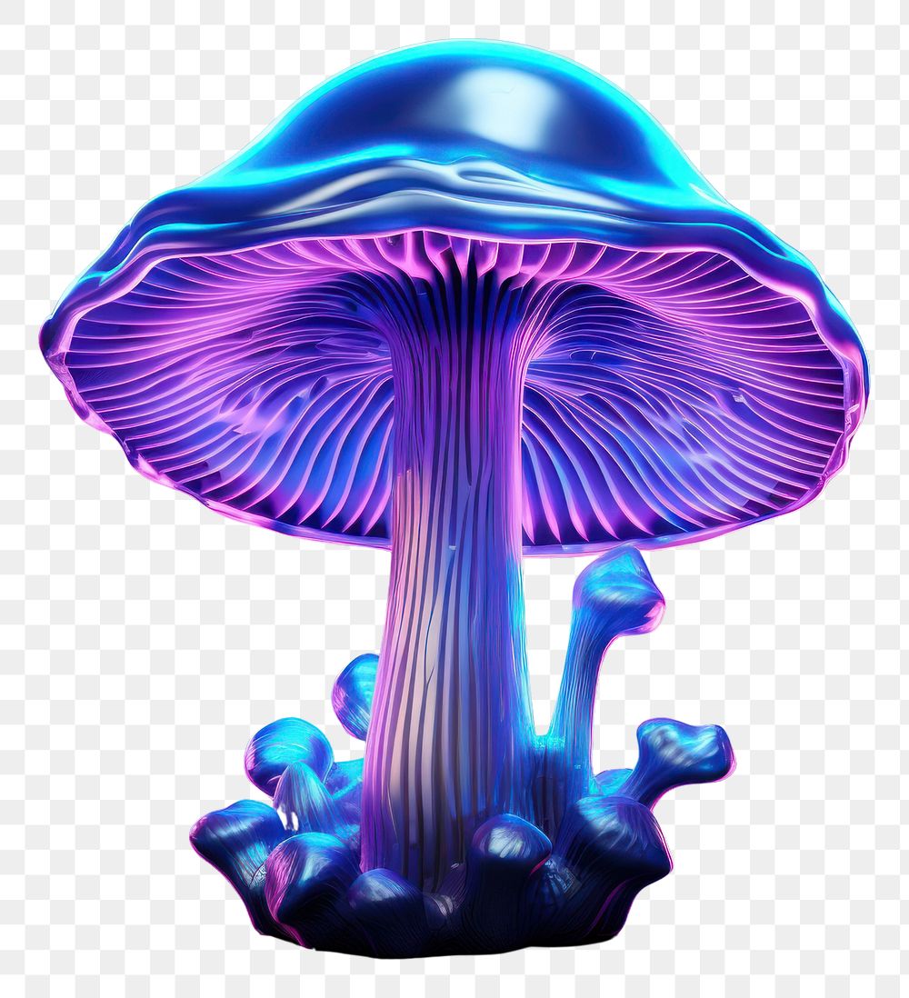 PNG Neon mushroom nature fungus purple