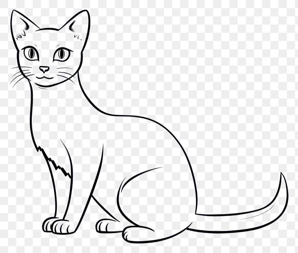 PNG Siamese cat animal mammal sketch.