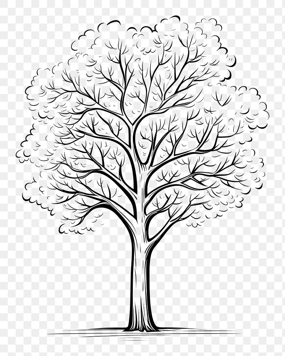 PNG Tree sketch drawing white.