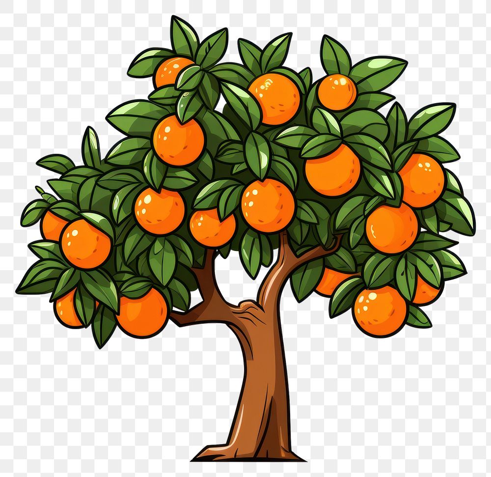 PNG Orange tree cartoon fruit plant.