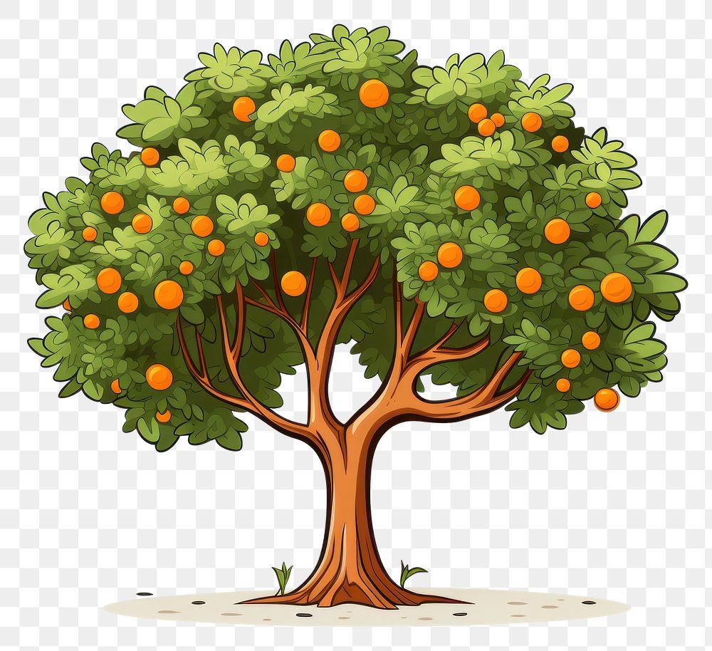 PNG Orange tree cartoon plant fruit.