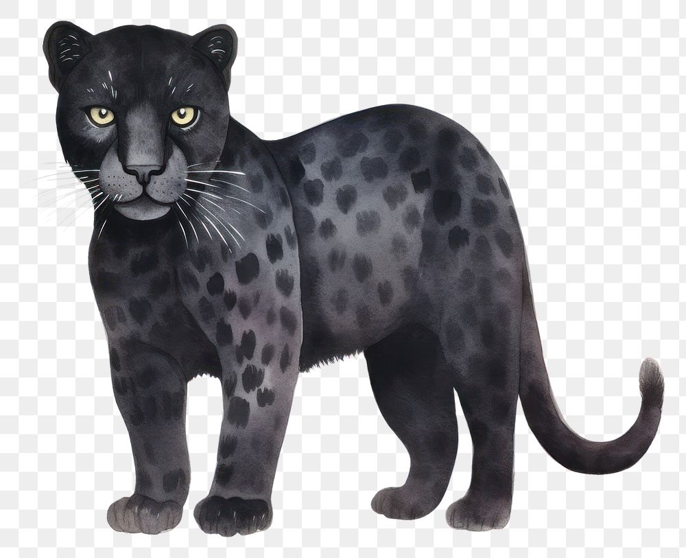 PNG Cute watercolor illustration of a panther wildlife leopard mammal.