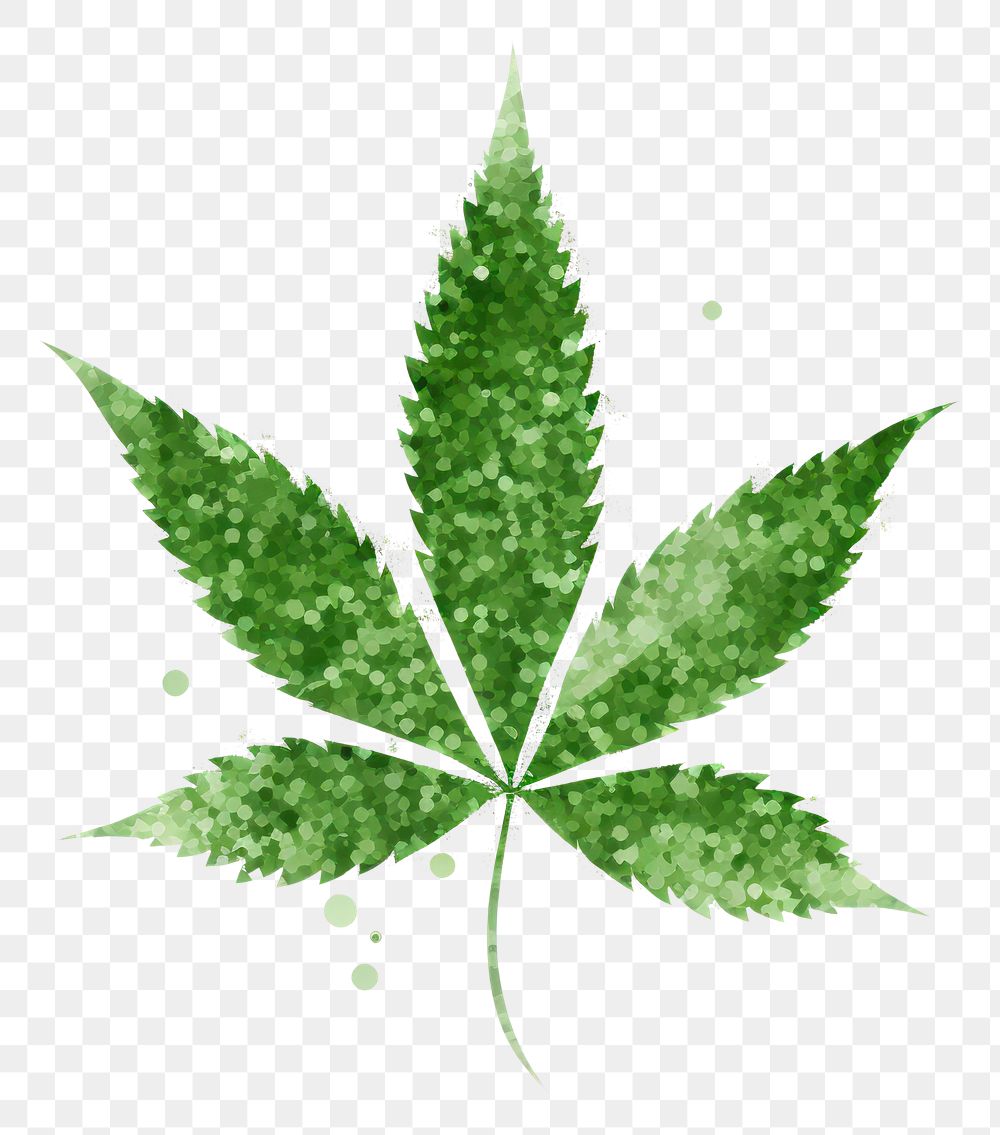 PNG Green cannabis icon plant herbs leaf.
