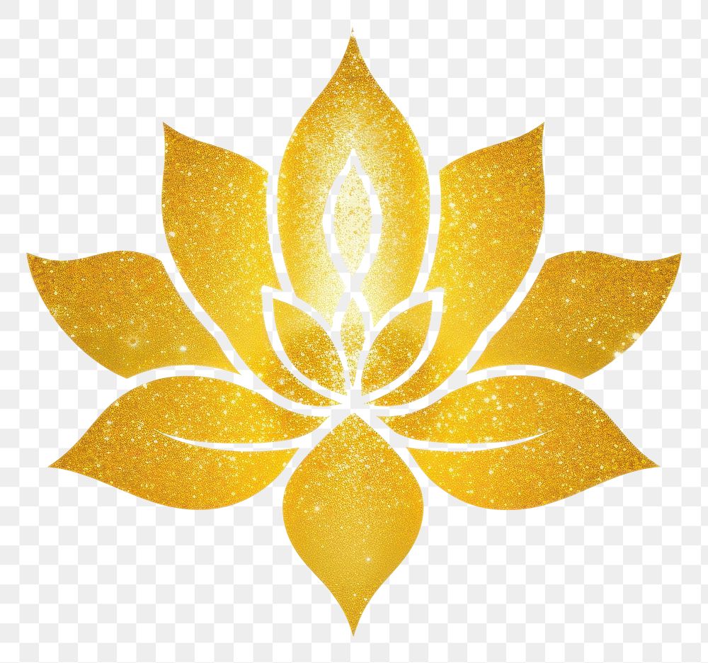 PNG Yellow lotus flower icon plant leaf white background.