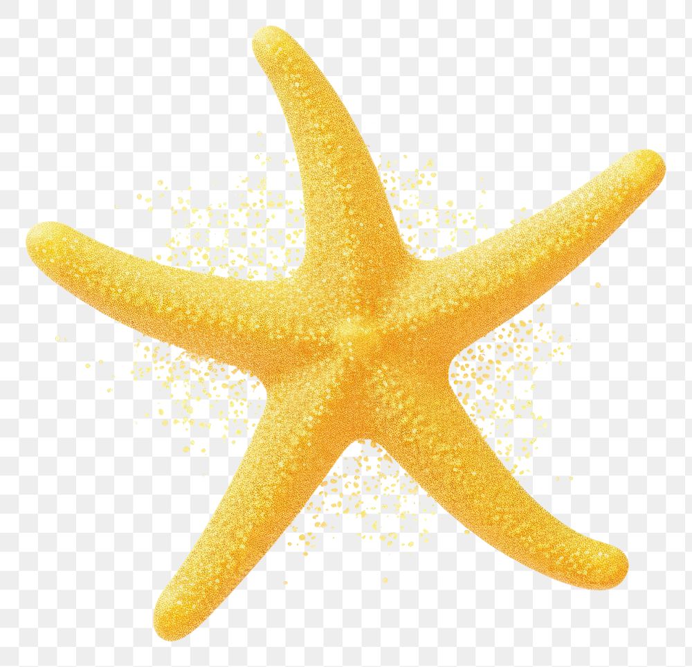 PNG Yellow starfish icon shape white background invertebrate.