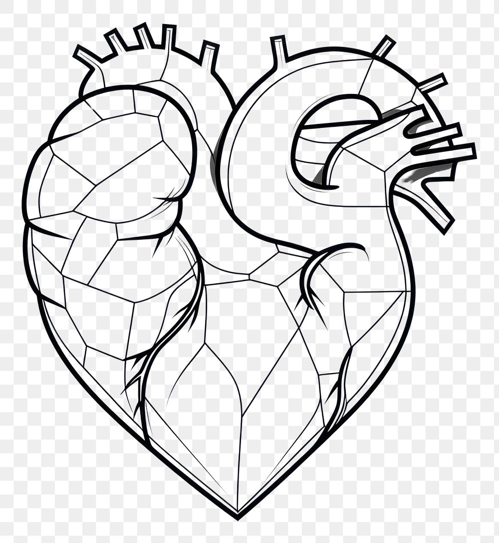 PNG Heart sketch drawing line.