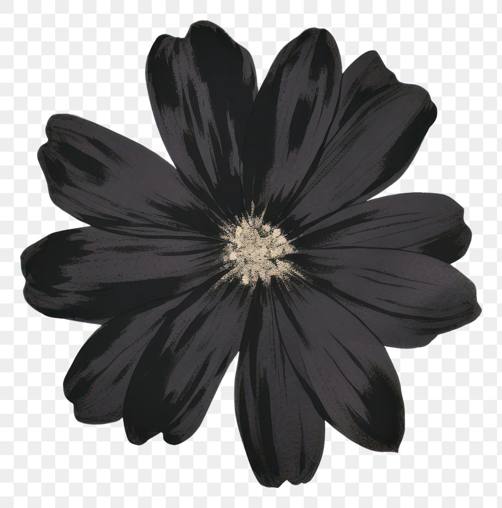 PNG Flower petal plant black.