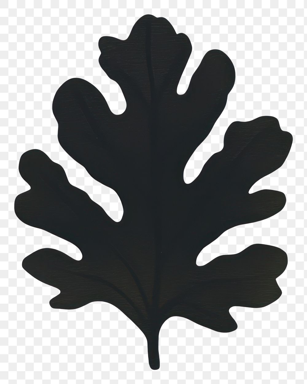 PNG Leaf bold shape plant black white background.