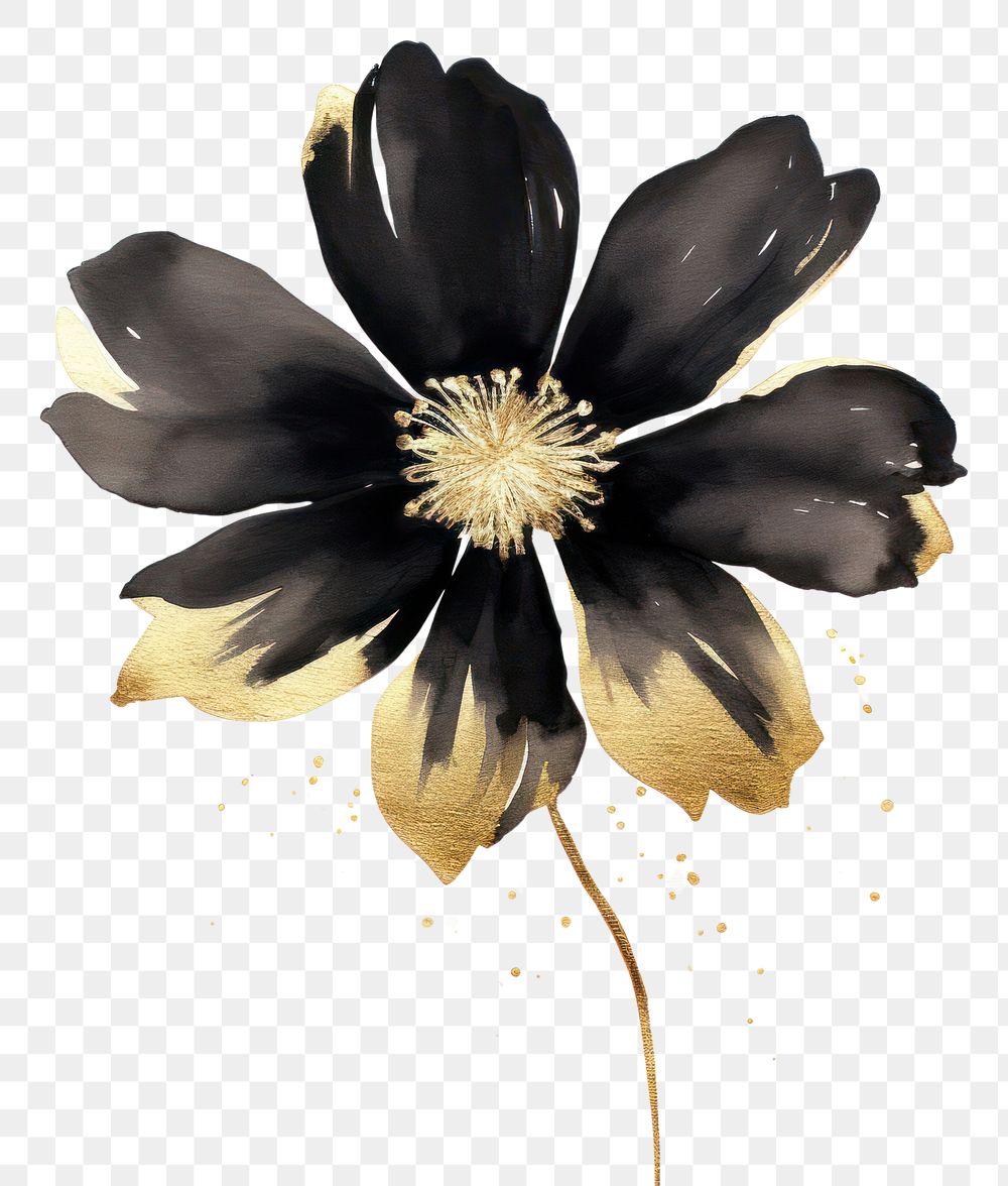 PNG Black flower petal plant white background
