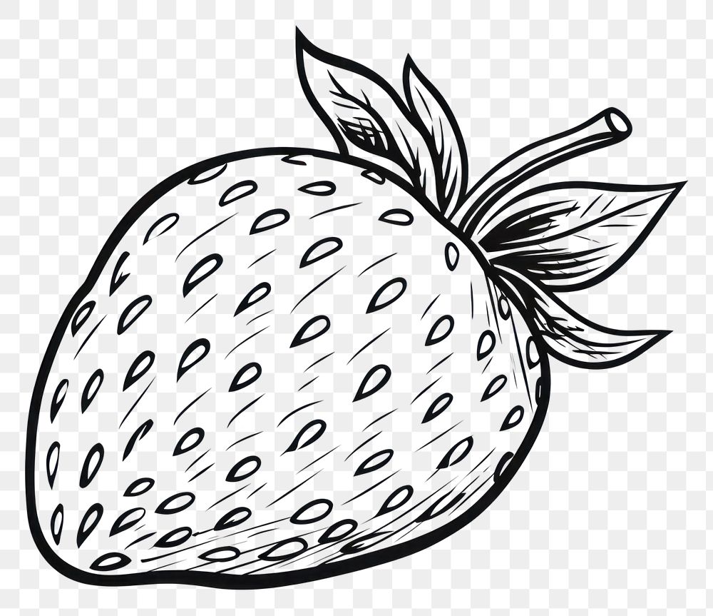 PNG Strawberry sketch fruit plant.