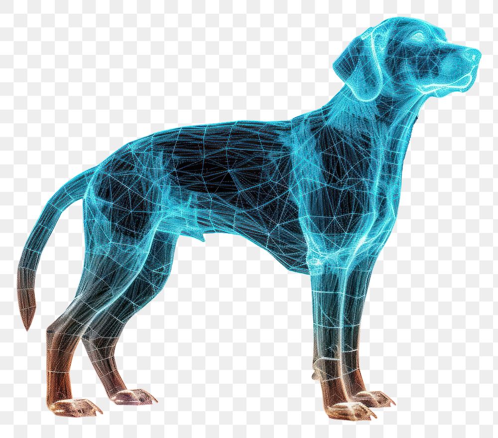 PNG  Dog black background carnivora anatomy.