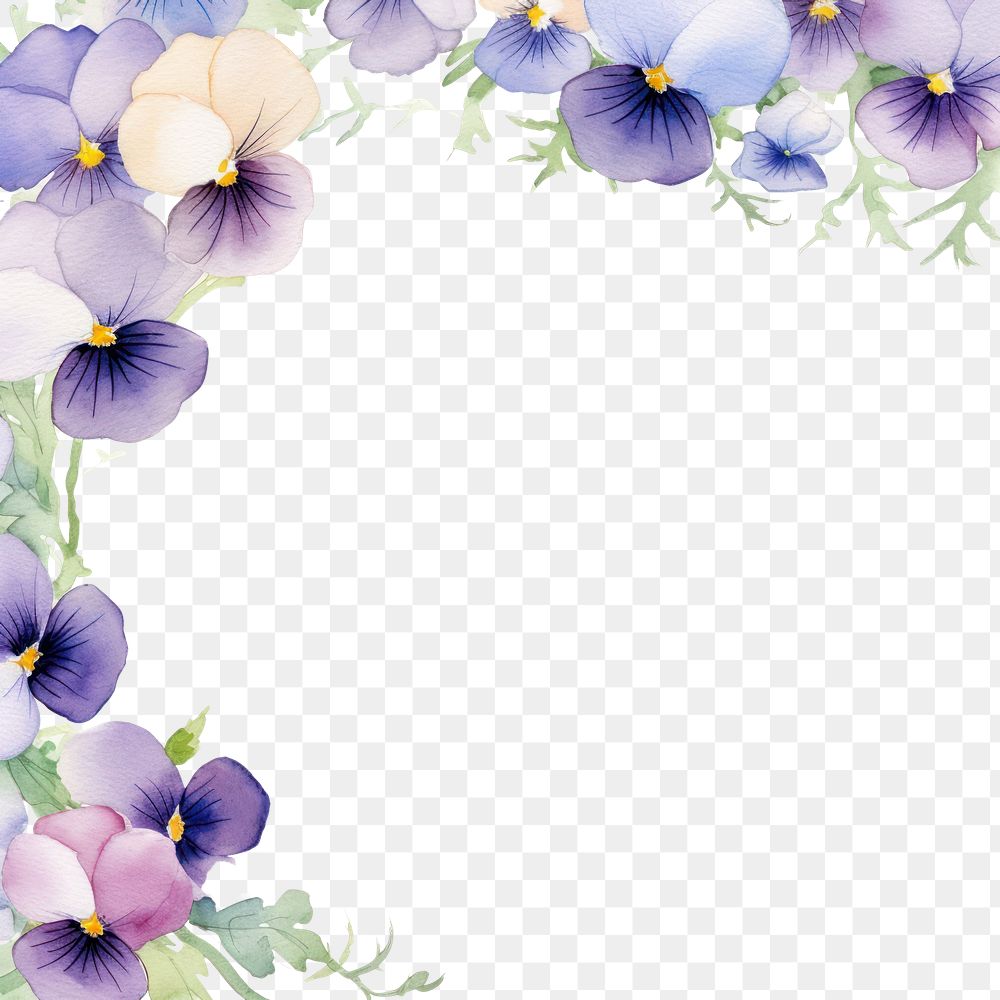 PNG Pansy border pattern flower plant.
