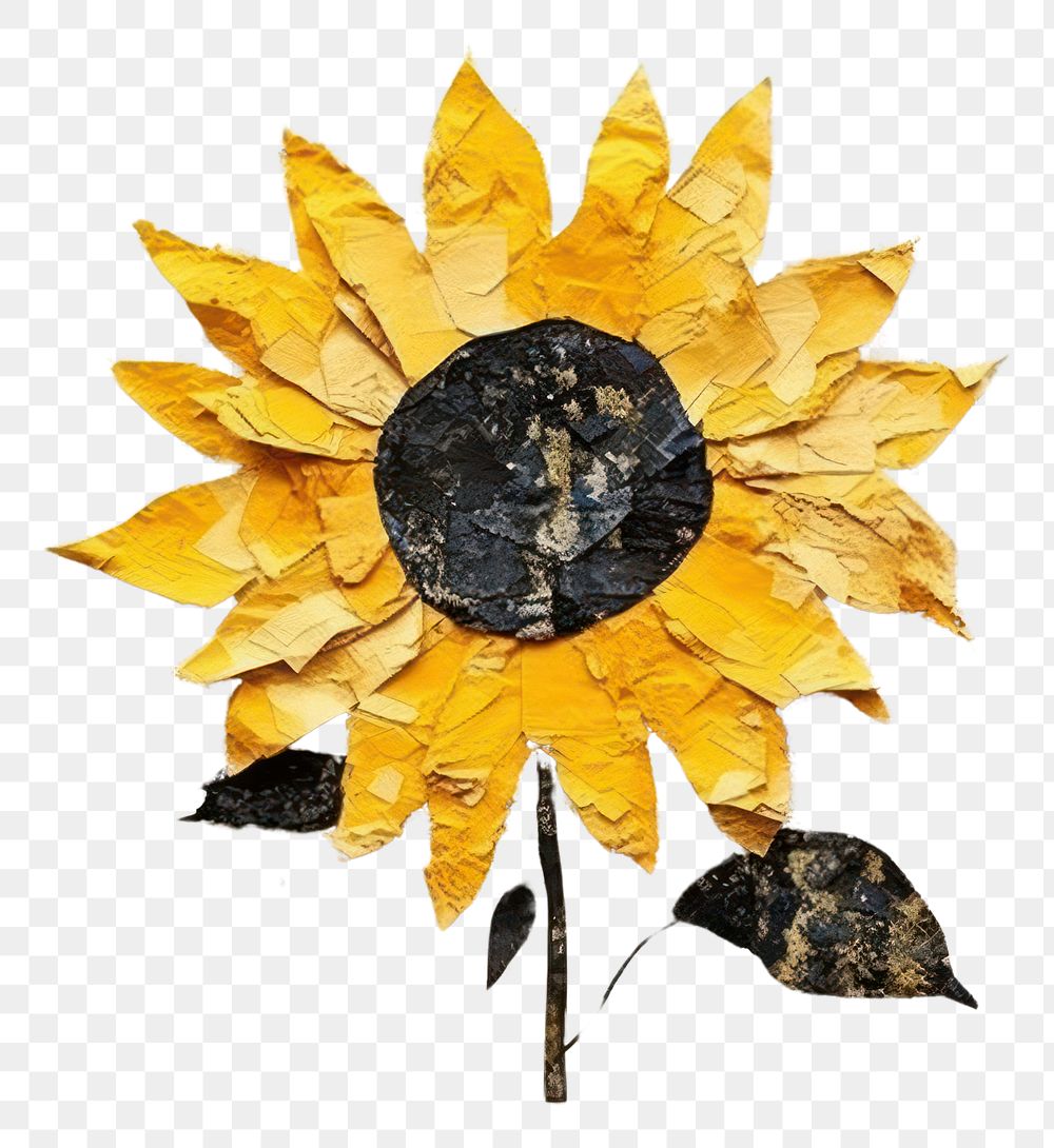 PNG Sunflower art plant leaf.