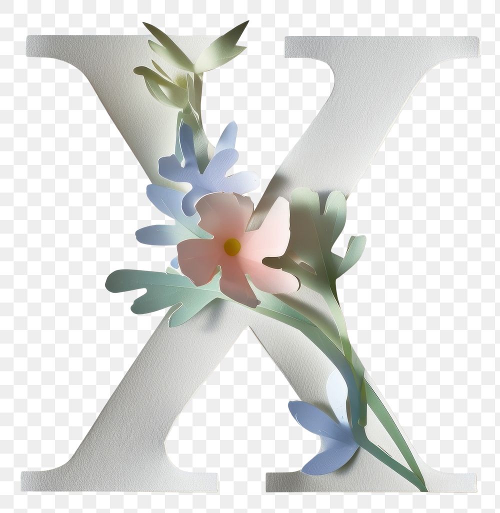PNG Flower plant blossom symbol.