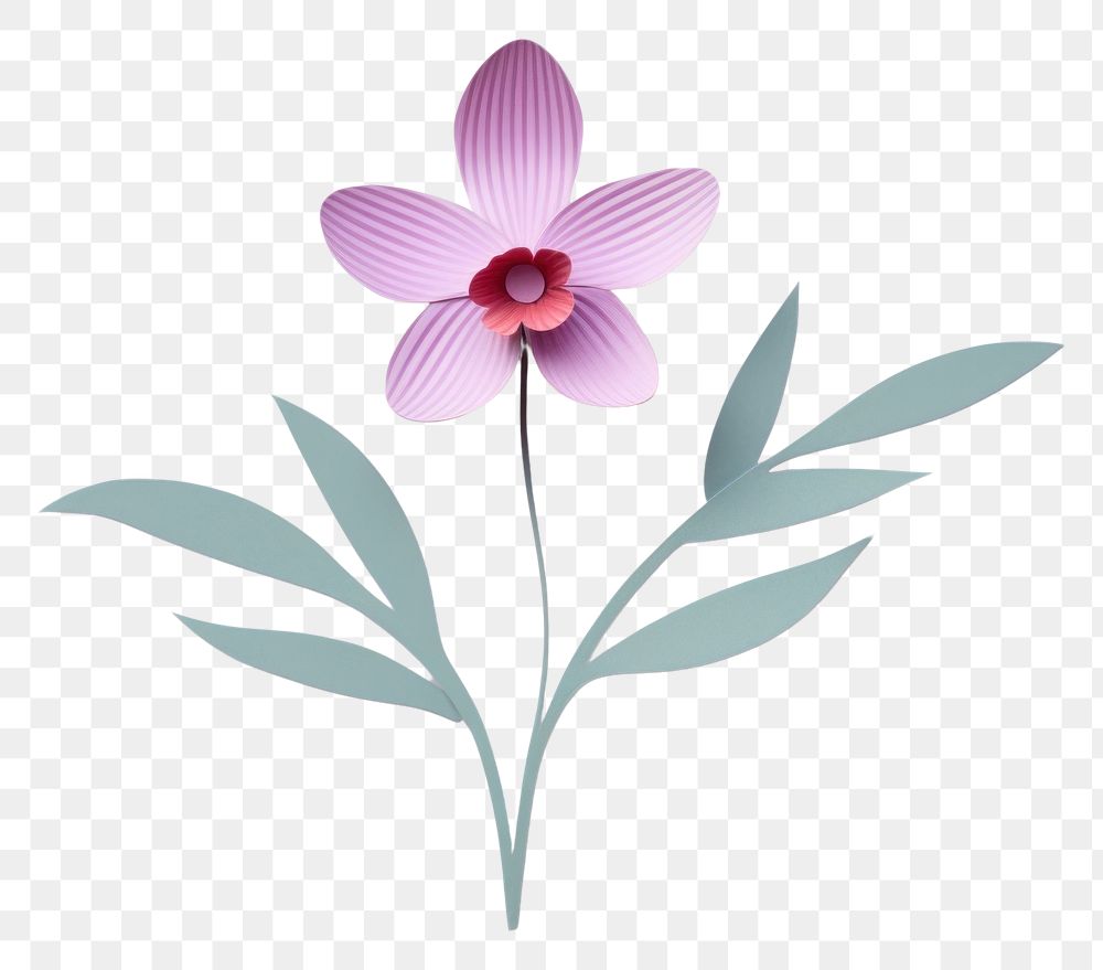 PNG Orchid art flower petal.