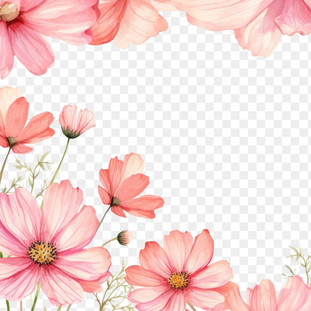 PNG Cosmos petals border backgrounds pattern flower.