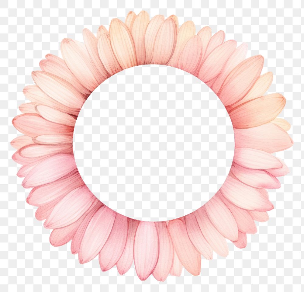 PNG Gerbera petals cercle border flower daisy white background.
