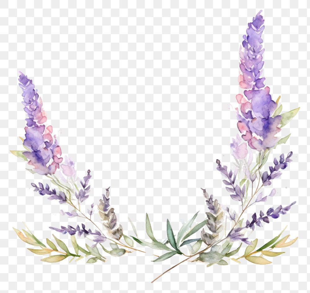 PNG Lavender border blossom flower wreath.