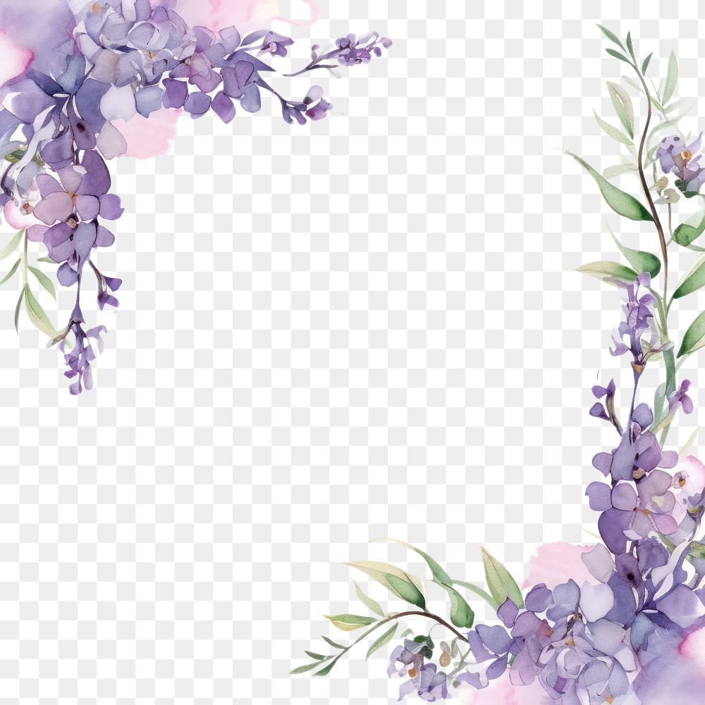 PNG Lilac border blossom flower plant.