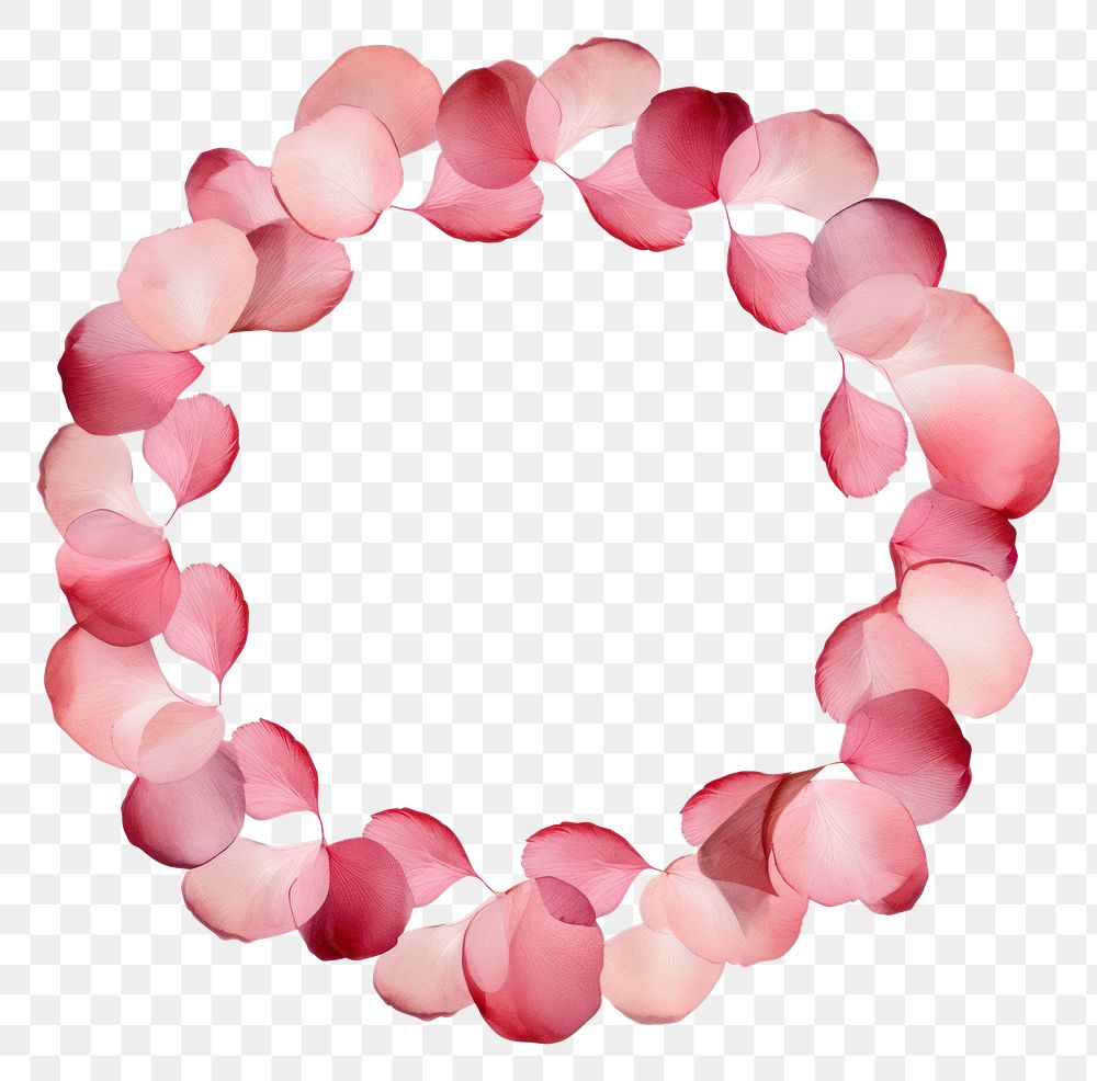 PNG Rose petals cercle border wreath white background microbiology