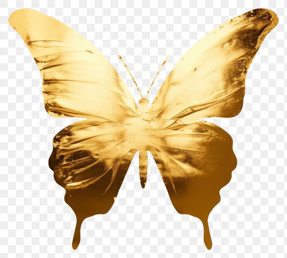 PNG Butterfly gold animal insect white background.