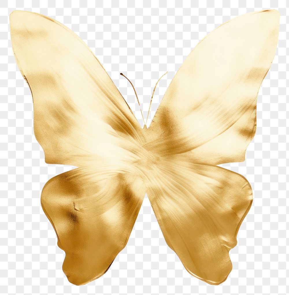 PNG Butterfly gold animal insect petal.