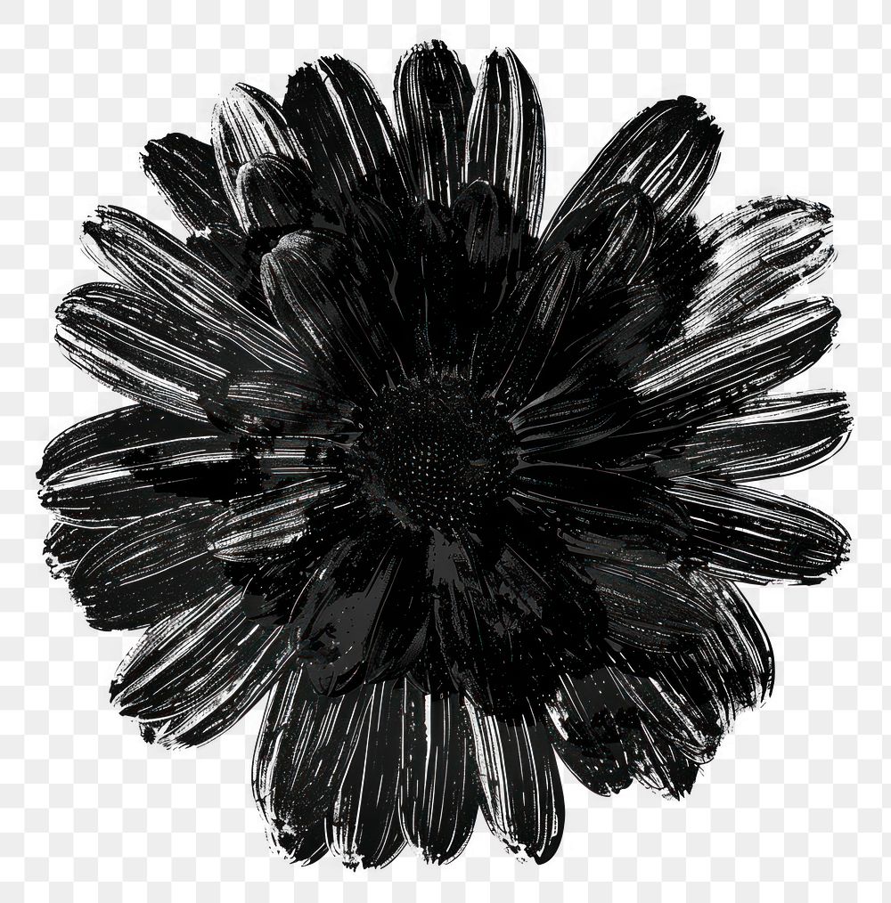 PNG Flower black monochrome petal plant.