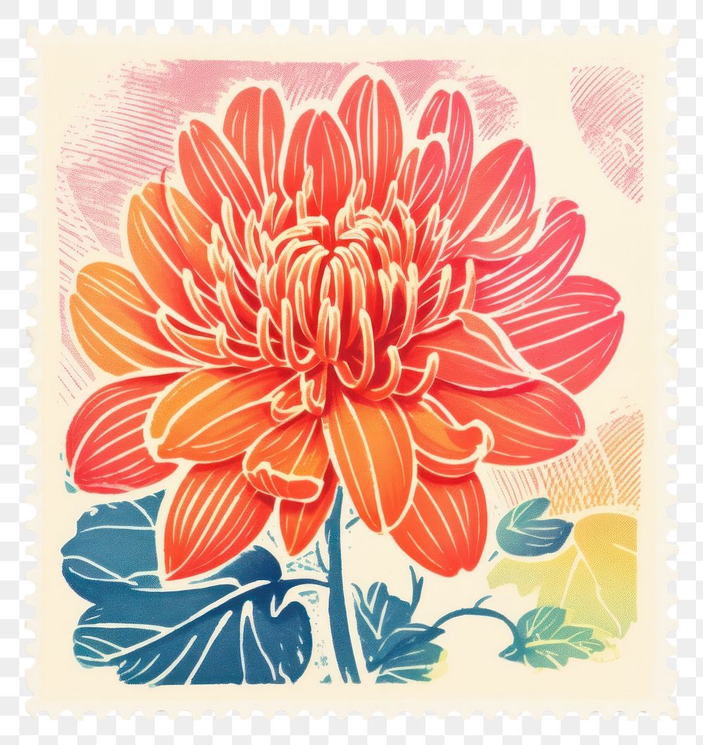 PNG  Flower with Risograph style dahlia plant inflorescence.