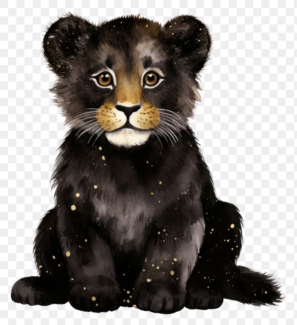 PNG Black color cute lion wildlife mammal animal.