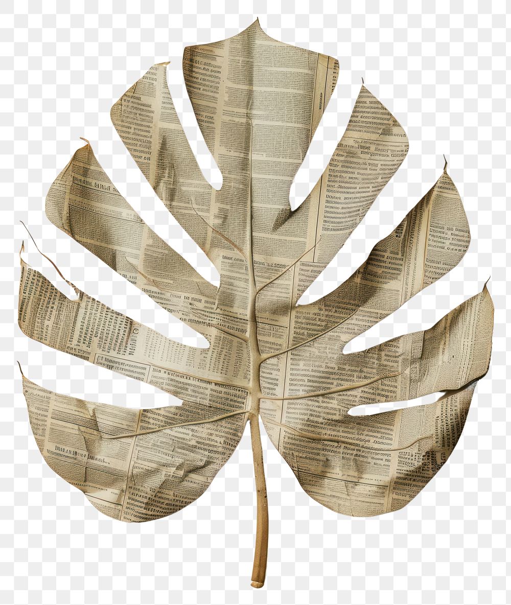 PNG Ephemera paper tropical leaf art plant pattern.