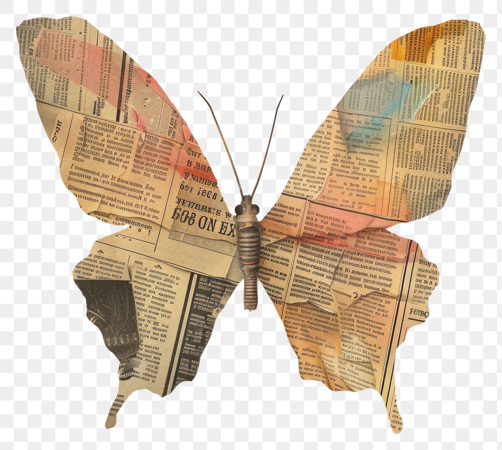 PNG Ephemera paper butterfly art insect animal