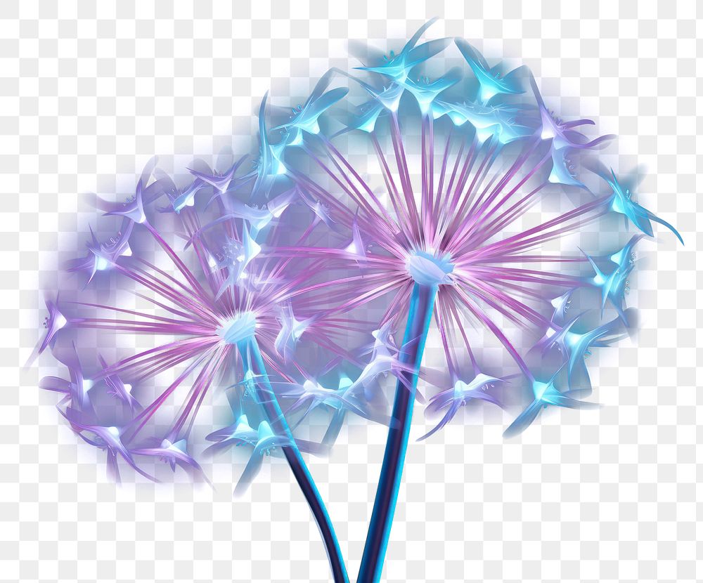 PNG Dandelion flower light plant.