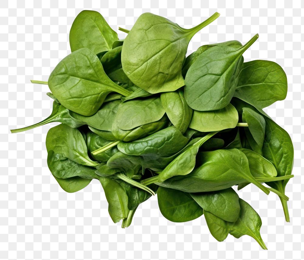PNG Vegetable spinach plant food.