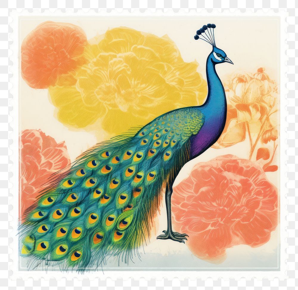 PNG  Peacock Risograph style animal bird postage stamp.