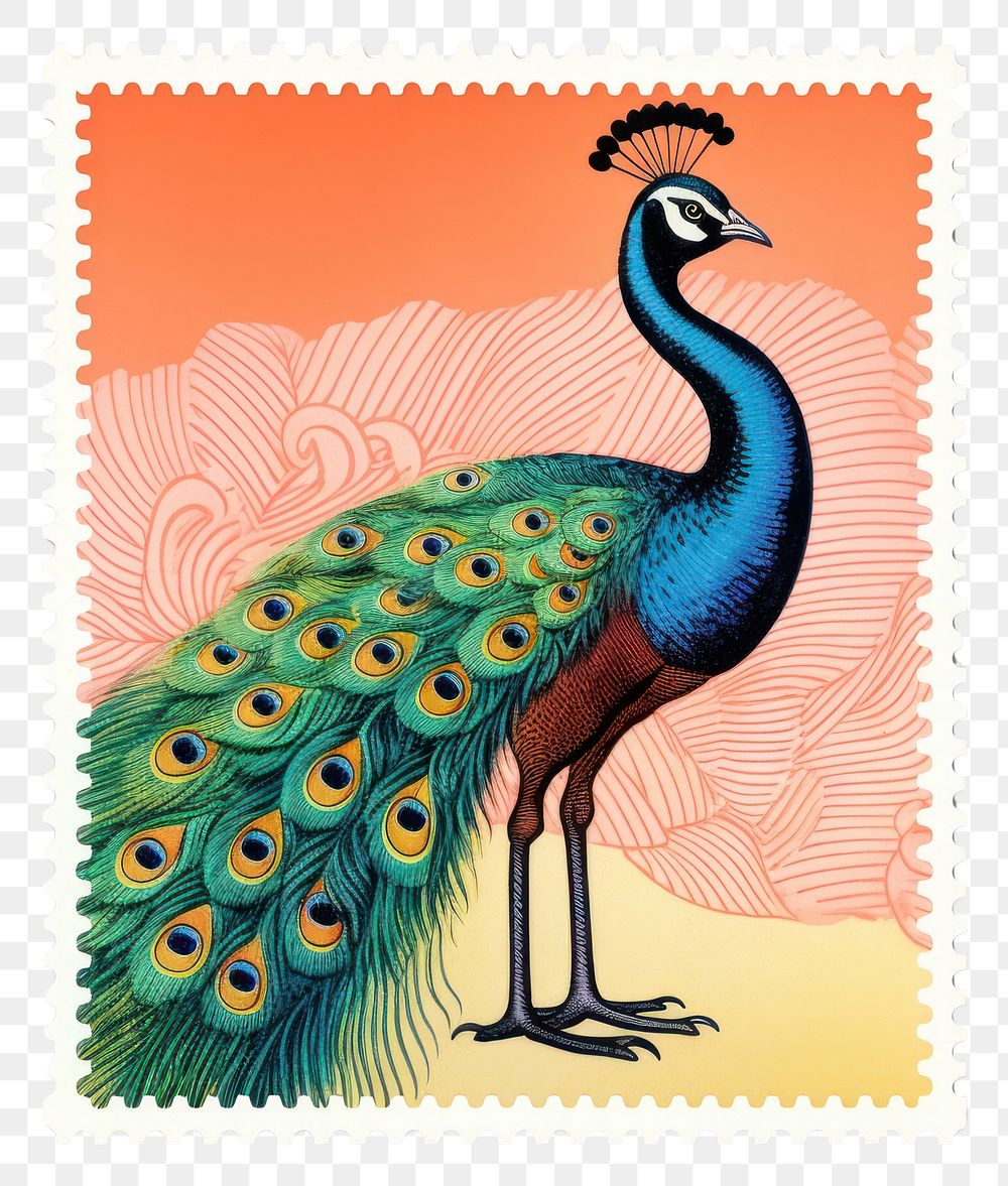 PNG  Peacock Risograph style animal bird postage stamp.