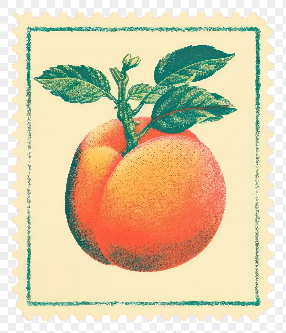 PNG  Peach Risograph style fruit plant food.