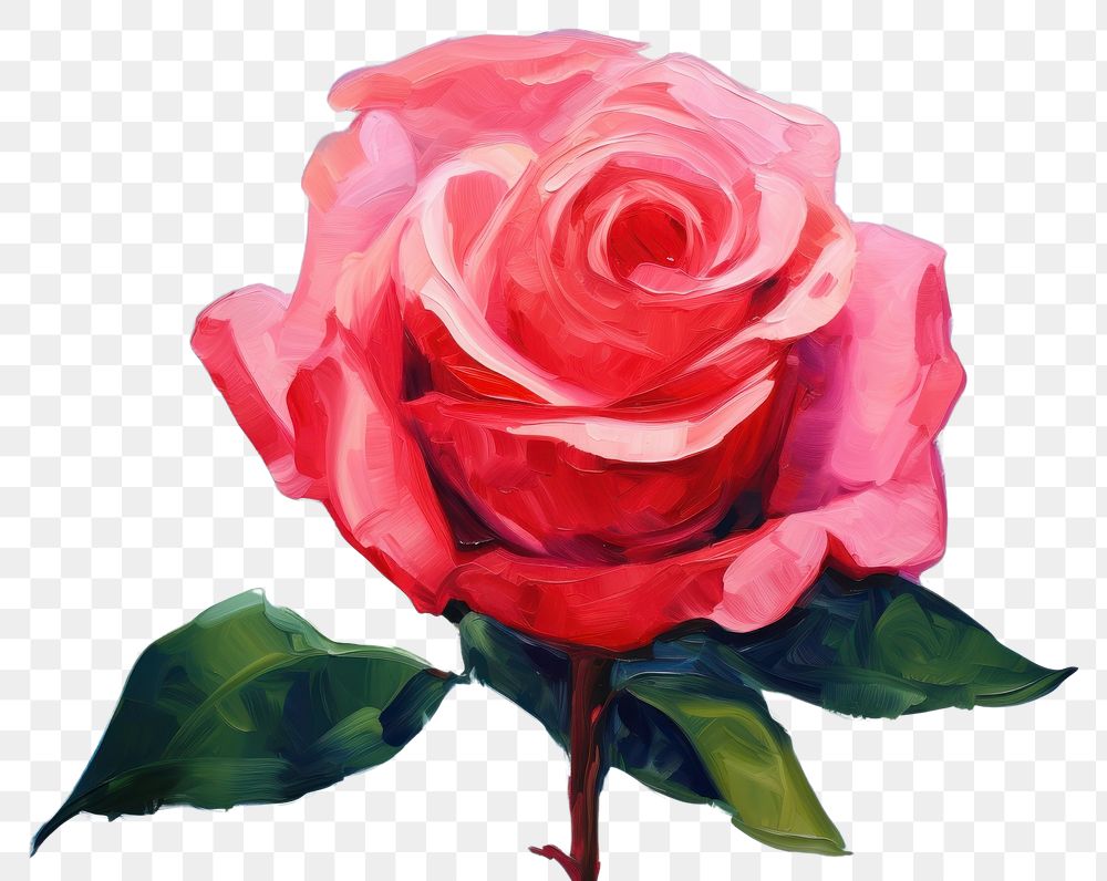 PNG  Painting rose flower plant.