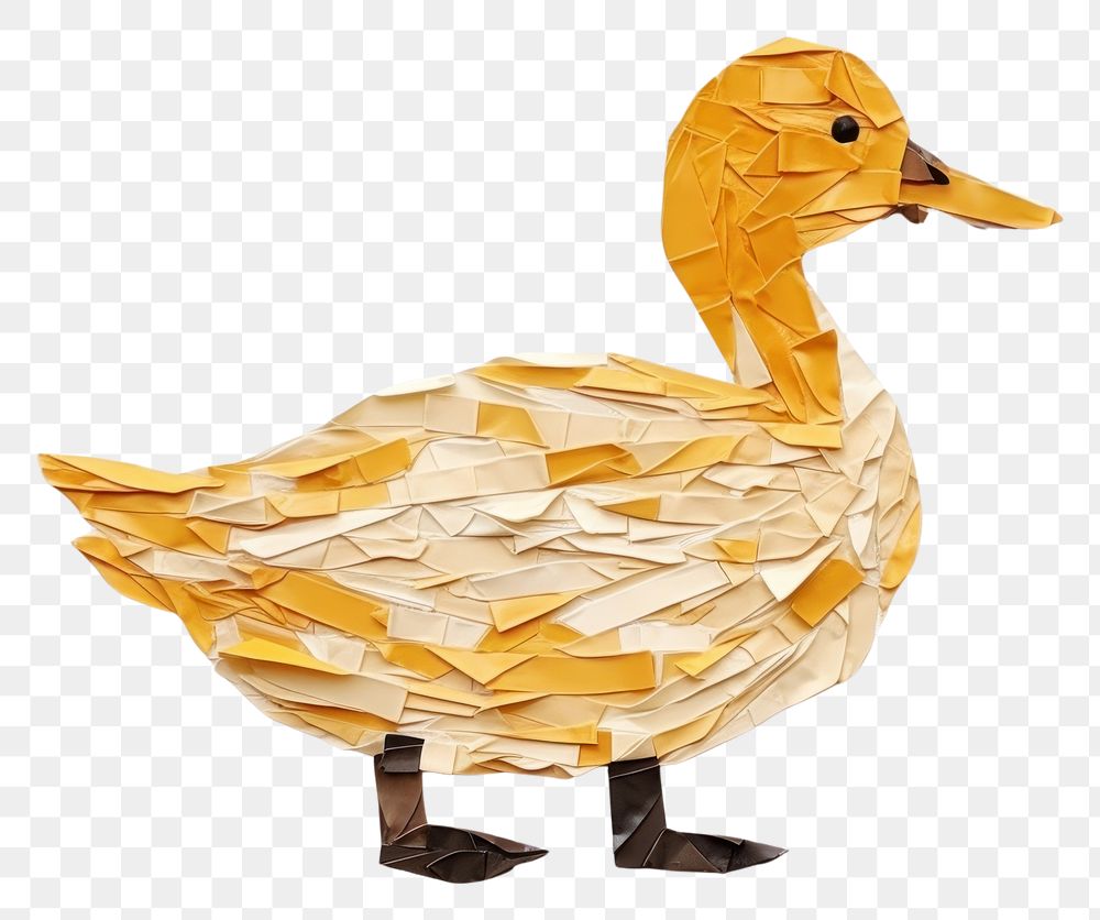 PNG Animal duck bird art.