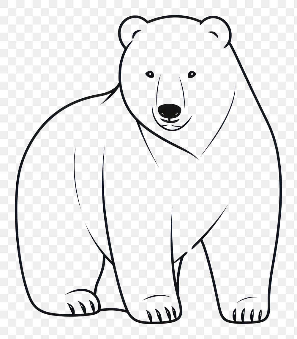 PNG Bear mammal sketch white.