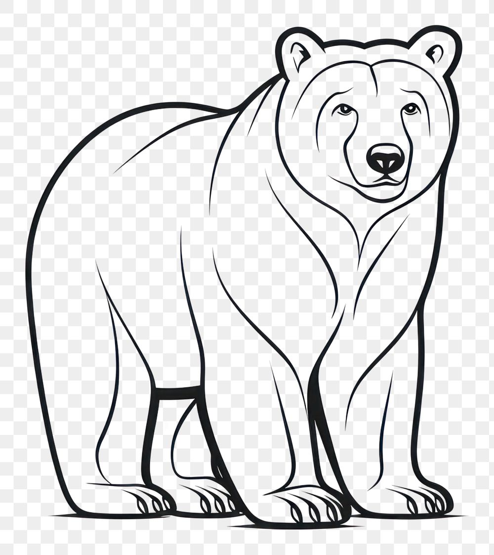 PNG Bear sketch wildlife drawing.