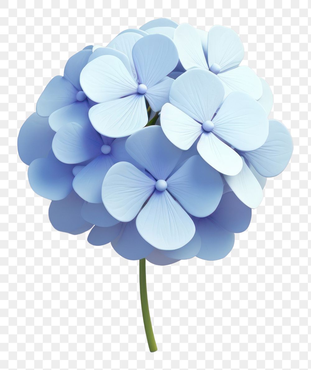 PNG Blue hydrangea flower petal plant.