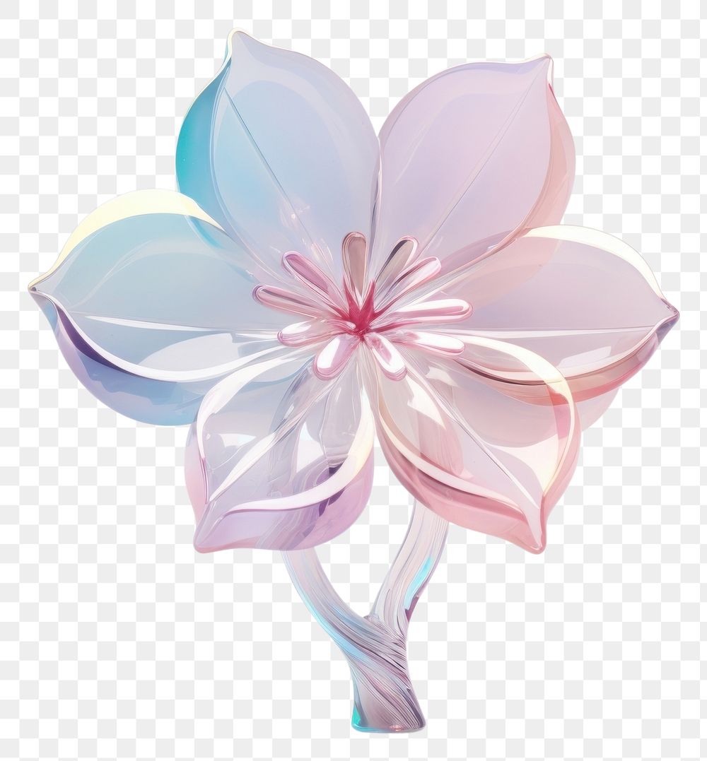 PNG Flower petal plant creativity.
