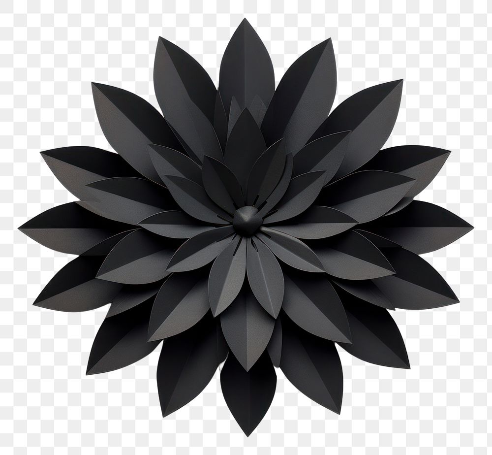 PNG  Black flower origami dahlia plant.