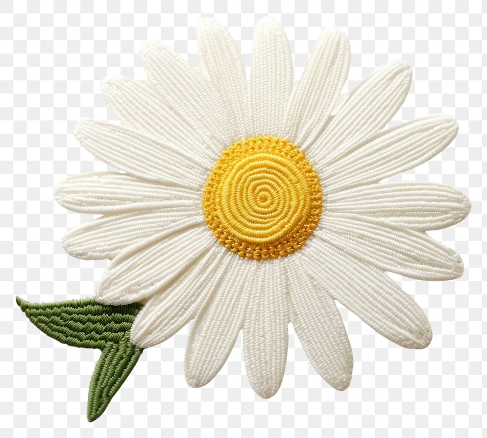 PNG Pattern flower daisy petal.