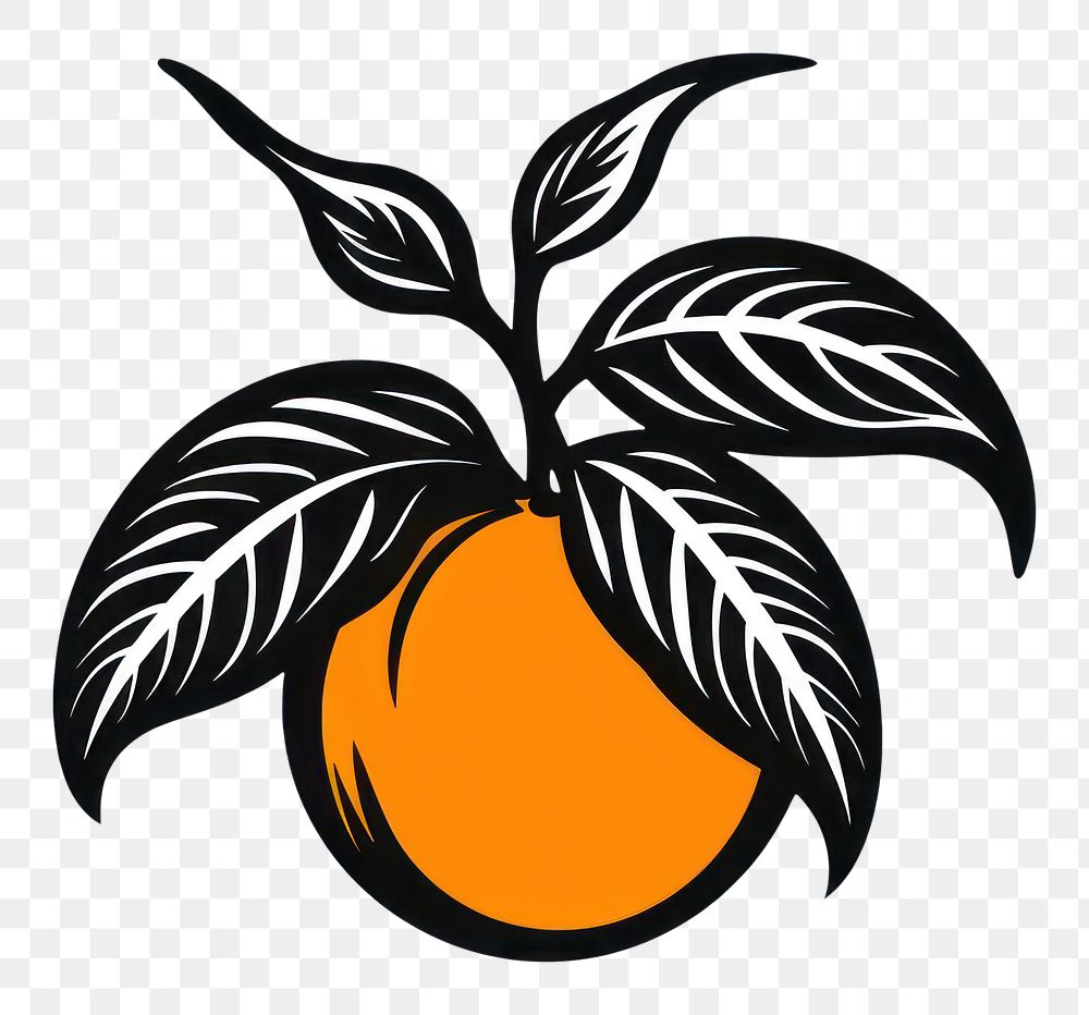 PNG A tangerine grapefruit plant food.