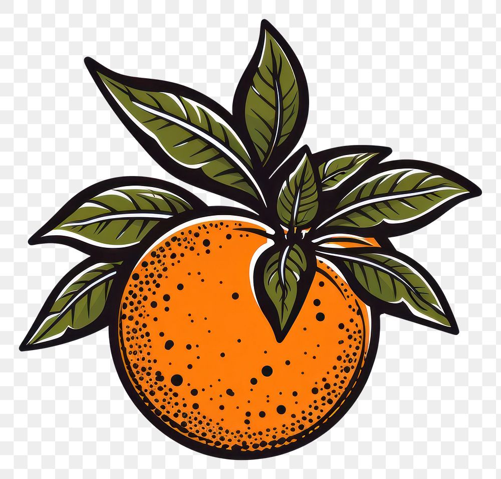 PNG An orange grapefruit plant food.